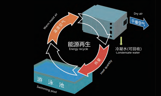 酒店游泳池除濕系統(tǒng)