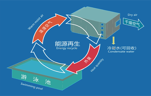 室內(nèi)恒溫游泳池,室內(nèi)游泳池,室內(nèi)恒溫游泳池除濕機